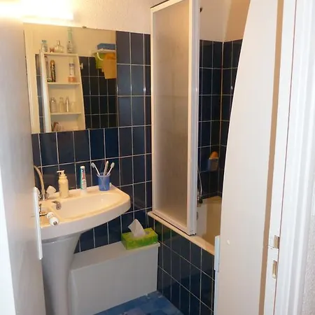 Studio Hiver Ou Ete Apartment